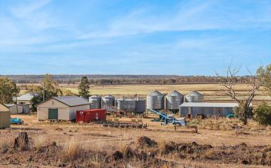 Farm Auction - QLD - Kaimkillenbun - 4406 - Home, pool & quality country close to major rural centre Dalby  (Image 2)