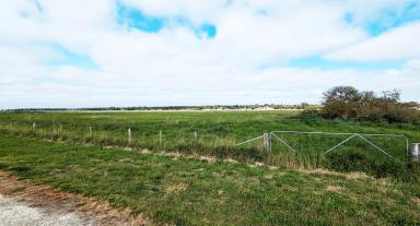 Farm Sold - SA - Naracoorte - 5271 - Hobby block for the sheep & family activities close to town - 5.5 Acres  (Image 2)