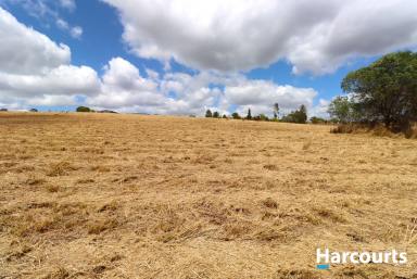 Farm For Sale - QLD - Childers - 4660 - ACREAGE LIVING IN THE CHILDERS HINTERLAND  (Image 2)