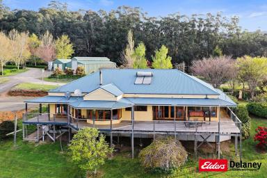 Farm For Sale - VIC - Piedmont - 3833 - Country Style Living on 49.28 hectares  (Image 2)