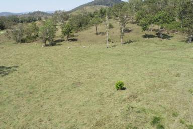 Farm For Sale - QLD - Sarina Range - 4737 - Acreage 20 minutes south of Sarina  (Image 2)