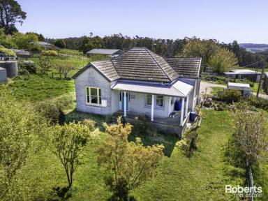 Farm For Sale - TAS - Roland - 7306 - Amazing Views of Mt Roland with Endless Possibilities  (Image 2)