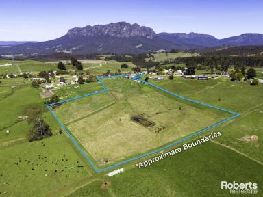 Farm For Sale - TAS - Roland - 7306 - Amazing Views of Mt Roland with Endless Possibilities  (Image 2)