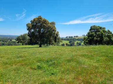Farm For Sale - WA - Roelands - 6226 - Slice of Heaven on the Roelands Hill  (Image 2)