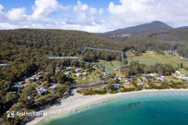 Farm Sold - TAS - Adventure Bay - 7150 - Where the Ocean Meets the Forest  (Image 2)
