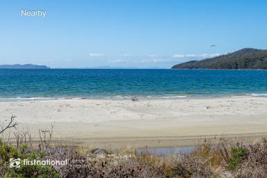Farm Sold - TAS - Adventure Bay - 7150 - Where the Ocean Meets the Forest  (Image 2)