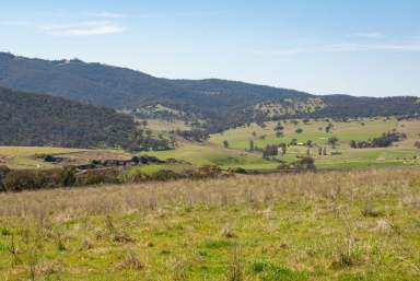 Farm Sold - NSW - Wambool - 2795 - “Bliss Park” Wambool NSW  (Image 2)