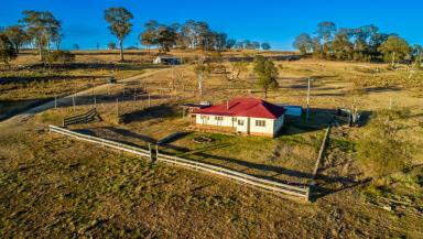 Farm Auction - NSW - Armidale - 2350 - "Glenrock"  (Image 2)