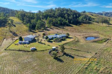 Farm Sold - NSW - Gloucester - 2422 - Rivendell - Privacy & Lifestyle  (Image 2)
