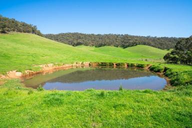 Farm For Sale - VIC - Eskdale - 3701 - "The Washboard"  (Image 2)