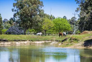 Farm Sold - WA - Donnybrook - 6239 - COUNTRY SANCTUARY ON 13.5 ACRES  (Image 2)