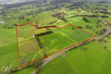 Farm For Sale - VIC - Mirboo North - 3871 - Multipurpose Property in Mirboo North – 77 Acres with a Planning Permit  (Image 2)