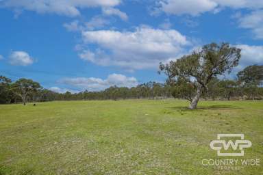 Farm Sold - NSW - Torrington - 2371 - Blank Canvas Awaits!  (Image 2)