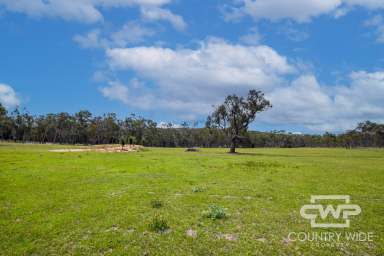 Farm Sold - NSW - Torrington - 2371 - Blank Canvas Awaits!  (Image 2)