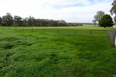 Farm For Sale - WA - Rocky Gully - 6397 - Attractive Farm at Rocky Gully  (Image 2)