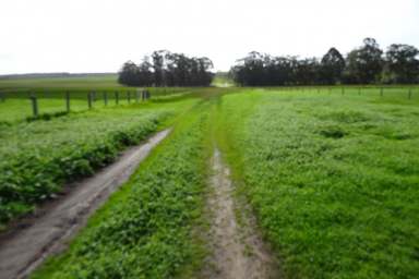 Farm For Sale - WA - Rocky Gully - 6397 - Attractive Farm at Rocky Gully  (Image 2)