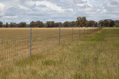 Farm For Sale - WA - Gundaring - 6315 - Strong Country South of Wagin  (Image 2)