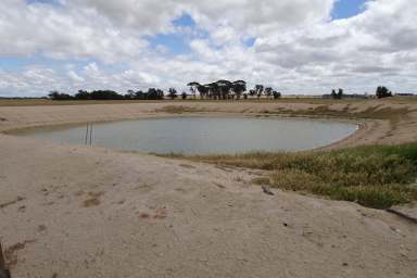 Farm For Sale - WA - Gundaring - 6315 - Strong Country South of Wagin  (Image 2)