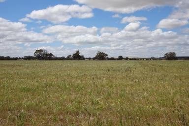 Farm For Sale - WA - Gundaring - 6315 - Strong Country South of Wagin  (Image 2)