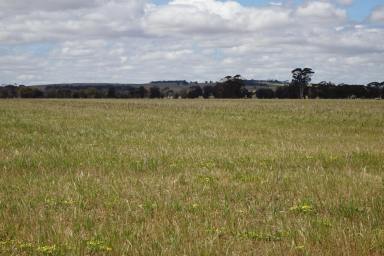 Farm For Sale - WA - Gundaring - 6315 - Strong Country South of Wagin  (Image 2)