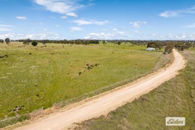 Farm For Sale - VIC - Mia Mia - 3444 - Picturesque with Reliable Water For Grazing  (Image 2)