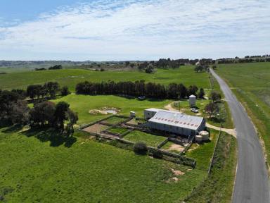 Farm For Sale - NSW - Golspie - 2580 - Tablelands Grazing at its Best  (Image 2)
