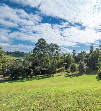 Farm Sold - QLD - Cooroy - 4563 - One Acre of Vacant Land in Cooroy!  (Image 2)