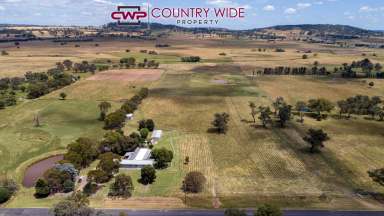 Farm For Sale - NSW - Glen Innes - 2370 - When Only The Best Will Do  (Image 2)