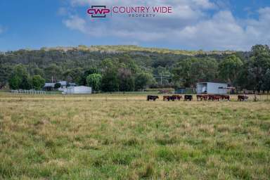 Farm For Sale - NSW - Glen Innes - 2370 - When Only The Best Will Do  (Image 2)