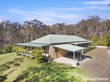 Farm For Sale - NSW - Tallong - 2579 - Tranquil Living  (Image 2)