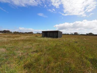 Farm For Sale - VIC - Cape Clear - 3351 - 7.37HA (18.21 Acres) Improved Corner Allotment With Power Pit  (Image 2)