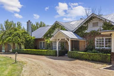 Farm Sold - NSW - Yass - 2582 - Timeless Elegance and Rich History Await at Historic 'Walgrove'  (Image 2)