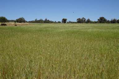 Farm Sold - WA - Pingelly - 6308 - Pingelly Farmland Auction  (Image 2)