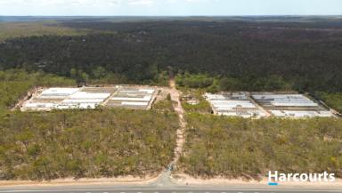 Farm For Sale - QLD - Isis Central - 4660 - Move Over Costa!!!  (Image 2)