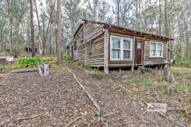 Farm For Sale - VIC - Bruthen - 3885 - Bush block with a rustic log cabin.  (Image 2)