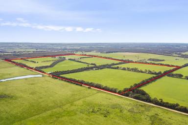 Farm For Sale - VIC - Freshwater Creek - 3217 - "Willowite Springs"  (Image 2)
