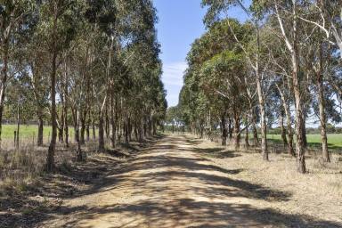 Farm For Sale - VIC - Freshwater Creek - 3217 - "Willowite Springs"  (Image 2)