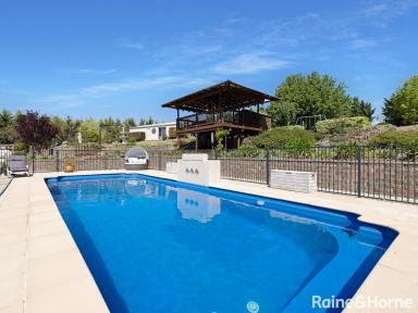 Farm For Sale - NSW - Robin Hill - 2795 - SIZE, STYLE & SOPHISTICATION  (Image 2)