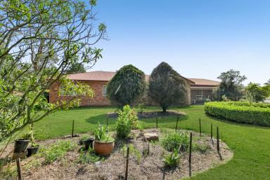 Farm For Sale - NSW - Campvale - 2318 - LARGE ACREAGE WITH INCOME IN GROWTH AREA  (Image 2)