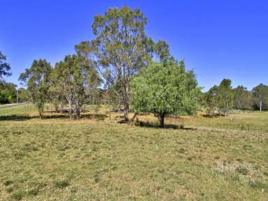 Farm Sold - VIC - Nicholson - 3882 - HOBBY FARM IN POPULAR NICHOLSON  (Image 2)