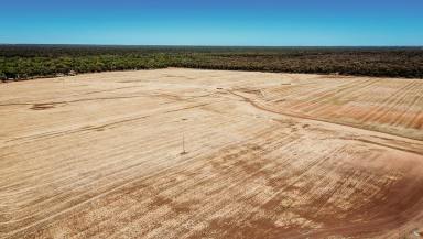 Farm Expressions of Interest - QLD - Moonie - 4406 - Large scale backgrounding/cropping operation  (Image 2)