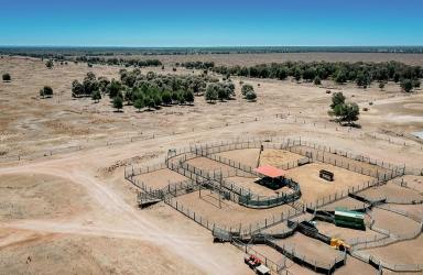 Farm Expressions of Interest - QLD - Moonie - 4406 - Large scale backgrounding/cropping operation  (Image 2)