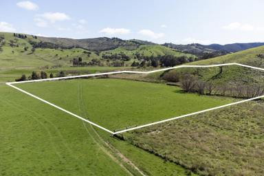 Farm For Sale - VIC - Bonnie Doon - 3720 - YOUR PIECE OF THE HIGH COUNTRY IS AVAILABLE NOW!  (Image 2)