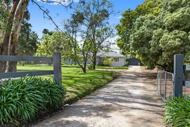 Farm Auction - VIC - Tuerong - 3915 - Upsize The Family Into Idyllic Country-Style Living  (Image 2)