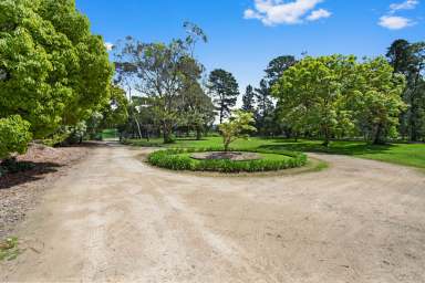 Farm Sold - VIC - Tuerong - 3915 - Upsize The Family Into Idyllic Country-Style Living  (Image 2)