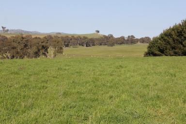 Farm Sold - NSW - Binalong - 2584 - Picturesque Lifestyle Acreage  (Image 2)