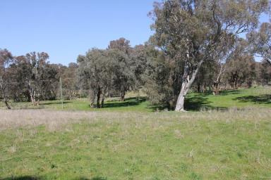 Farm Sold - NSW - Binalong - 2584 - Country Estate - Land Release - EOI  (Image 2)