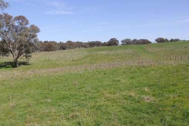 Farm Sold - NSW - Binalong - 2584 - Country Estate - Land Release - EOI  (Image 2)