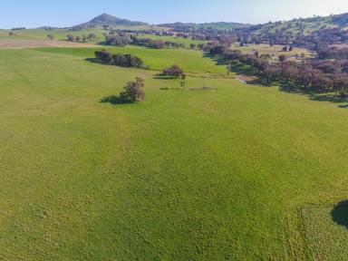 Farm Sold - NSW - Binalong - 2584 - Karinya  (Image 2)
