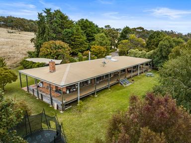 586 Bulgas Road, Emu Swamp NSW 2800
